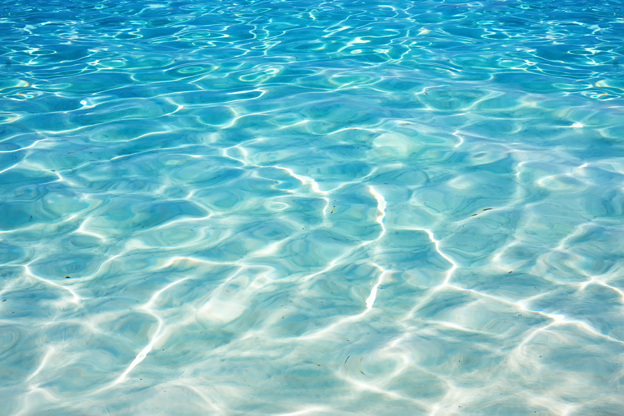 Blue water sea